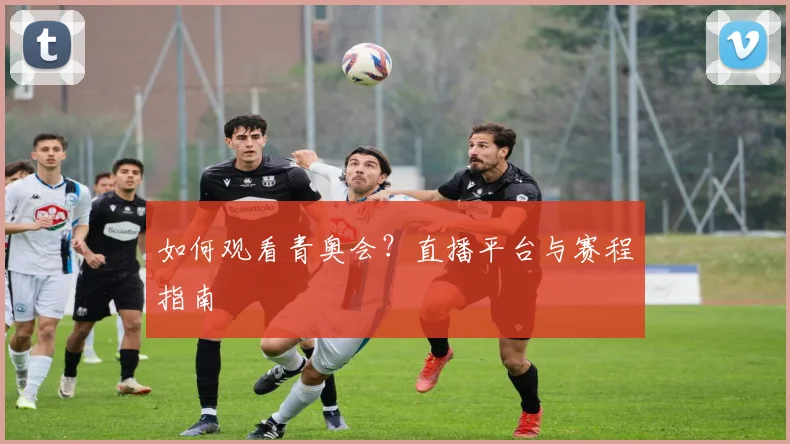 如何观看青奥会？直播平台与赛程指南