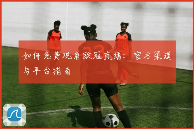 如何免费观看欧冠直播：官方渠道与平台指南