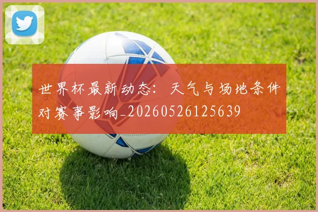 世界杯最新动态：天气与场地条件对赛事影响_20260526125639